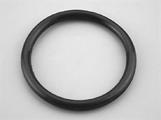 O-ring for Astral lamp pool lampe